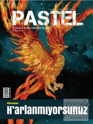 Pastel Edebiyat Dergisi Sayı: 10 Kolektif