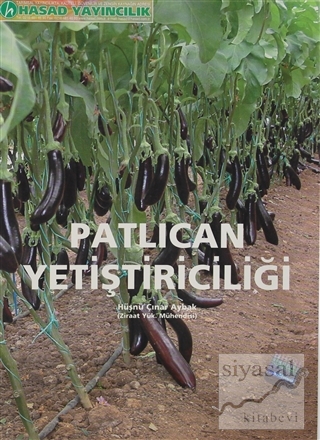 Patlıcan Yetiştiriliciliği Hüsnü Çınar Aybak