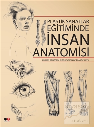 Plastik Sanatlar Egitiminde İnsan Anatomisi Salih Geçimli