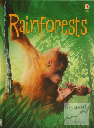 Rainforests Lucy Bowman
