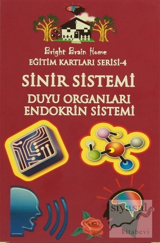 Sinir Sistemi, Duyu Organları, Endokrin Sistemi - Eğitim Kartları Seri