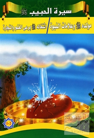 Siretü'l-Habib (5 Kitap Takım) Tacettin Uzun