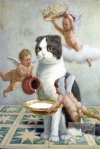 Süt ve Kedi