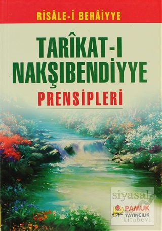 Tarıkat-ı Nakşıbendiyye Prensipleri (Tasavvuf-006 / P17) Ali Kadri