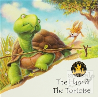 The Hare & The Tortoise Kolektif