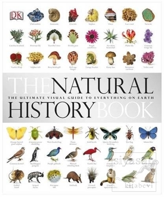 The Natural History Book (Ciltli) Kolektif
