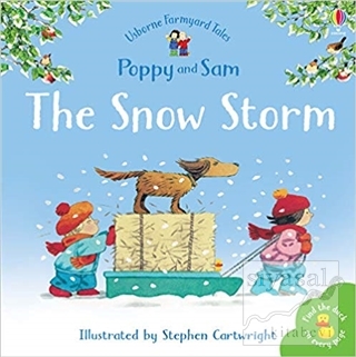 The Snow Storm - Poppy and Sam Heather Amery