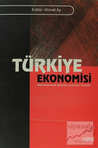 Türkiye Ekonomisi Ahmet Ay