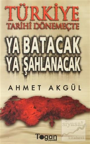 Türkiye Tarihi Dönemeçte Ya Batacak Ya Şahlanacak Ahmet Akgül