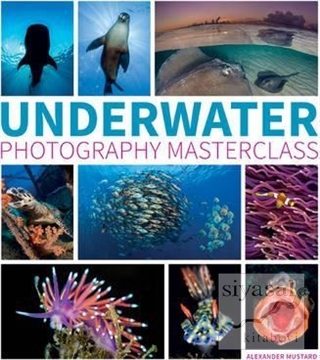 Underwater Photography Masterclass Alex Mustard