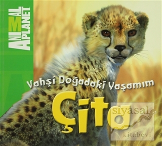 Vahşi Doğadaki Yaşamım: Çita Meredith Costain