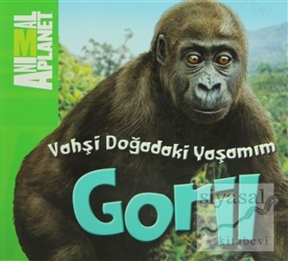 Vahşi Doğadaki Yaşamım: Goril Meredith Costain
