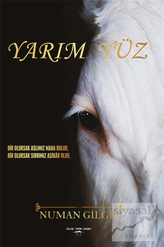 Yarım Yüz