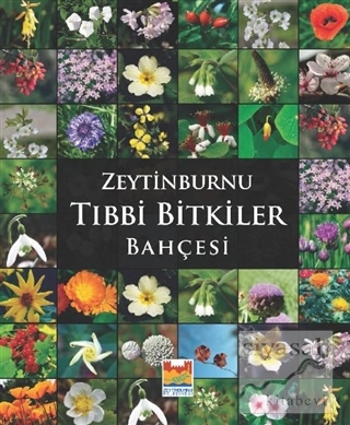 Zeytinburnu Tıbbi Bitkiler Bahçesi (Ciltli) Kolektif