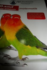 10. Sınıf Matematik Konu Anlatımlı