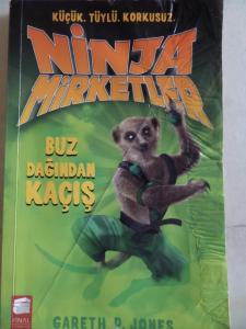 Ninja Mirketler Buz Dağından Kaçış