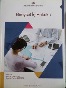 Bireysel İş Hukuku