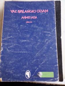 Yaz Kırlangıcı Olsam