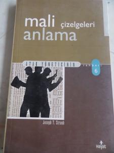 Mali Çizelgeleri Anlama