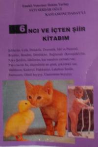 6 ncı ve İçten Şiir Kitabım