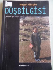 Düşbilgisi