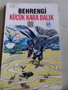 Küçük Kara Balık