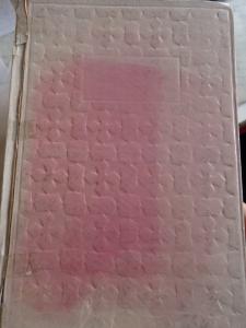 Tom Jones 1964 Oskar Armağanı