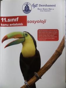 11. Sınıf Sosyoloji Konu Anlatımlı