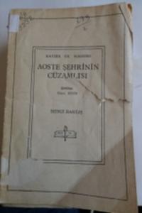 Aoste Şehrinin Cüzamlısı