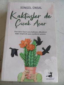 Kaktüsler De Çiçek Açar