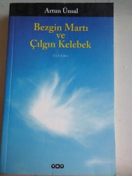 Bezgin Martı ve Çılgın Kelebek