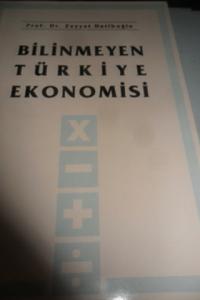 Bilinmeyen Türkiye Ekonomisi