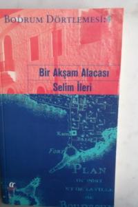 Bir Akşam Alacası