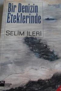 Bir Denizin Eteklerinde