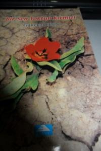 Bir Sen Yoktun Kırmızı