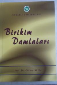 Birikim Damlaları