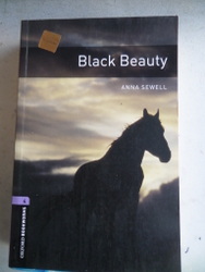 Black Beauty ( Stage 4 )