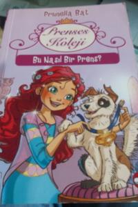 Bu Nasıl Bir Prens ?