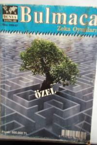 Bulmaca Zeka Oyunları