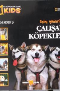 Çalışan Köpekler