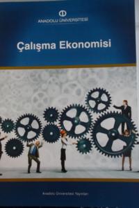 Çalışma Ekonomisi