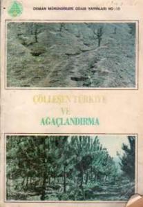 Çölleşen Türkiye ve Ağaçlandırma