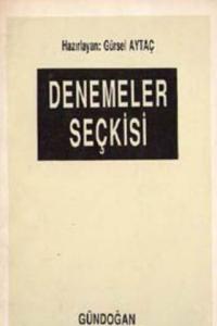Denemeler Seçkisi