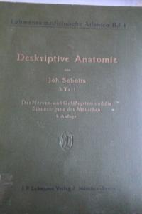 Deskriptive Anatomie 3 Teil