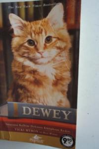 Dewey ( Cep Boy )