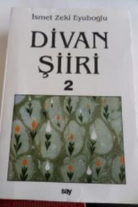 Divan Şiiri 2