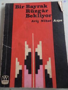 Bir Bayrak Rüzgar Bekliyor