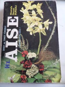 İffet ve İsmet Timsali Aişe