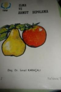 Elma ve Armut Depolama