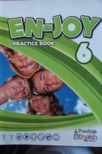 Enjoy 6 Practice Book